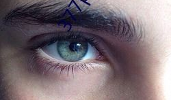 三级性生活视频,揭秘隐秘的私密世界